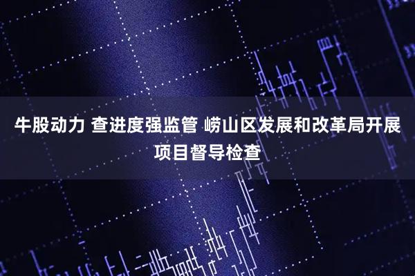 牛股动力 查进度强监管 崂山区发展和改革局开展项目督导检查